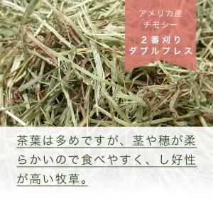 アメリカ産チモシー 2番刈 ダブルプレス チャ...の詳細画像1