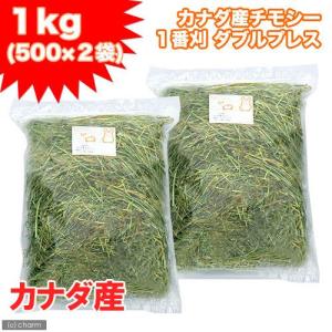 カナダ産チモシー　１番刈　ダブルプレス　チャック袋　（茶葉多め）　１ｋｇ（５００ｇ×２袋）　牧草　うさぎ　小動物　牧草　関東当日便