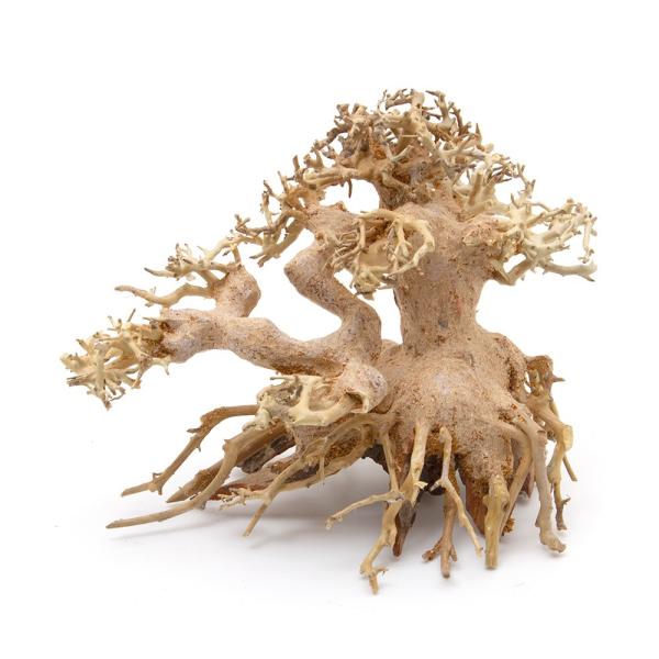 カミハタ　水景ＢＯＮＳＡＩ　五葉松　Ｓサイズ　流木　活着　レイアウト　水草　アクアリウム　水槽