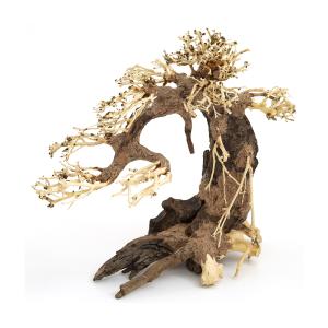 カミハタ　水景ＢＯＮＳＡＩ　五葉松　Ｌ　流木　活着　レイアウト　水草　アクアリウム　水槽　