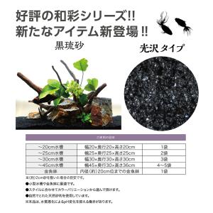 コトブキ工芸 和彩 黒琉砂の詳細画像4