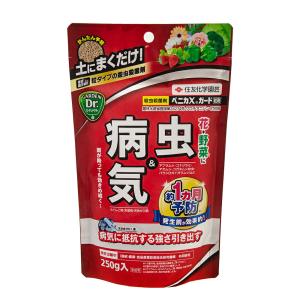 住友化学園芸　ベニカ　Ｘガード　粒剤　２５０ｇ　殺虫・殺菌剤｜chanet