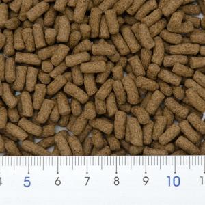 オクトジャパン ゼニス プレデター 250g 小粒の詳細画像2