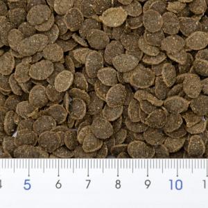 オクトジャパン ゼニス オクトヌマエビ 40g 小粒の詳細画像2