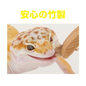 GEX セーフティピンセット バンブーの詳細画像2