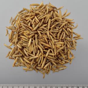 GEX RepDeli バグプレミアム 45g...の詳細画像2