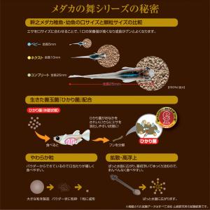 キョーリン メダカの舞 メンテナンス 90g ...の詳細画像4