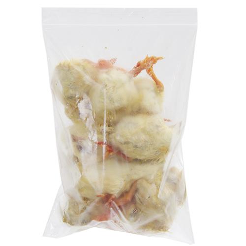 冷凍★富城　ヒヨコ（１０羽）　冷凍ヒヨコ　別途クール手数料　常温商品同梱不可