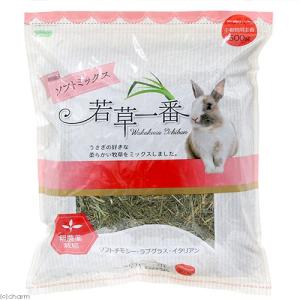 牧草 うさぎ ヤギ 干し草 ペットフード おやつ アルファとチモシー