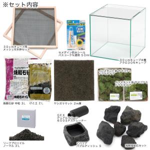 イモリウム 〜イモリの洞窟〜 レイアウトセット...の詳細画像3