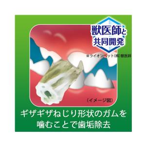 ライオン ペットキッス PETKISS 食後の...の詳細画像4