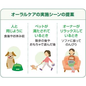 ライオン ペットキッス PETKISS 食後の...の詳細画像5