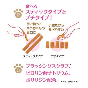 ライオン ペットキッス PETKISS 猫ちゃ...の詳細画像5