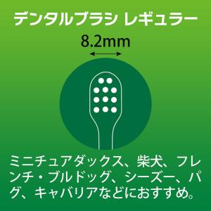 ライオン PETKISS デンタルブラシ レギ...の詳細画像3