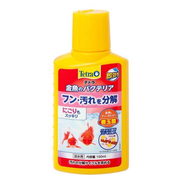 テトラ　金魚のバクテリア　１００ｍｌ　フンや汚れを分解する　水槽内のお掃除軽減　長期保存可能