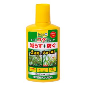 テトラ　コケブロック　２５０ｍｌ　コケ　予防　減らす　抑制