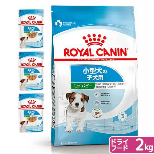 【送料無料】ロイヤルカナン　子犬用（生後１０カ月齢まで）　ウェット３袋＋ミニ　パピー　２ｋｇ　ジップ...
