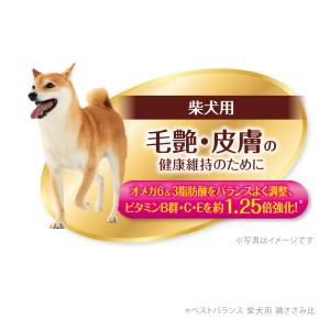 ベストバランスおやつ 柴犬用 高齢向け 鶏ささ...の詳細画像2