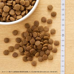 ニュートロ 猫 キャット ワイルドレシピ アダ...の詳細画像5