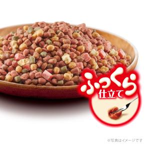 ドッグフード グラン・デリ ふっくら仕立て 食...の詳細画像2