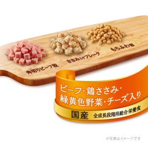 ドッグフード グラン・デリ ふっくら仕立て 食...の詳細画像3