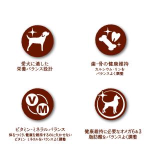 ドッグフード グラン・デリ ふっくら仕立て 食...の詳細画像4