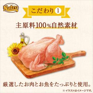 ニュートロ 猫 とろけるツナ&白身魚 20本入りの詳細画像2