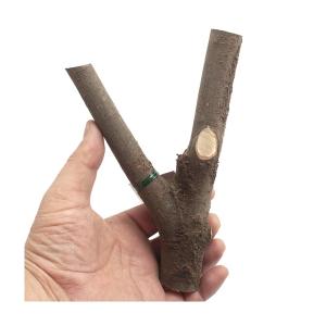 ミタニ 枝木 昆虫 カブトムシ クワガタ 足場...の詳細画像1