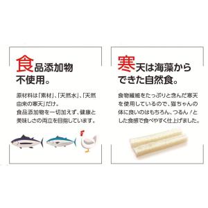 無一物 パウチ 寒天ゼリータイプ かつお 12...の詳細画像3