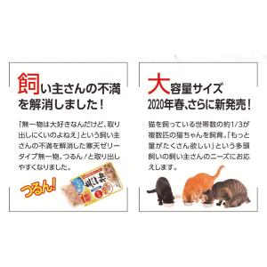 無一物 パウチ 寒天ゼリータイプ かつお 12...の詳細画像4