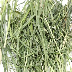 令和8年産 国産牧草 やみつきオーツヘイ 10...の詳細画像1