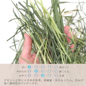 令和8年産 国産牧草 やみつきオーツヘイ 10...の詳細画像2