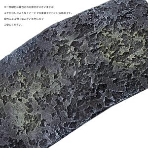 ビバリア バスキング&シェルター Lの詳細画像3