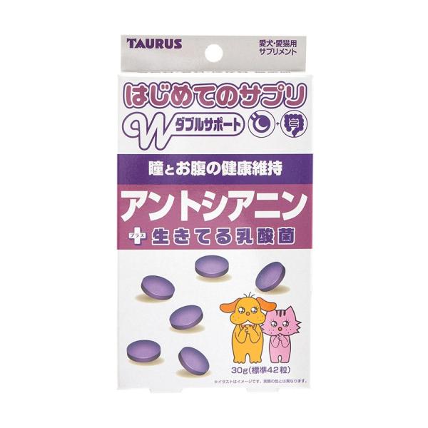 犬　猫　サプリ　トーラス　はじめてのサプリ　アントシアニン　３０ｇ　乳酸菌　腸内環境