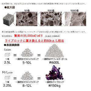 ZOOX ネクストジェネレーション バイオメデ...の詳細画像3