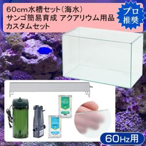 ６０ｃｍ水槽セット　サンゴ簡易育成カスタム　海水アクアリウム用品（水槽・ＬＥＤライト＆他６点）プロ推奨セット　６０Ｈｚ｜chanet