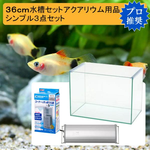 ３６ｃｍ水槽セット　アクアリウム用品シンプル３点（水槽・ＬＥＤライト＆フィルター）プロ推奨・初めての...