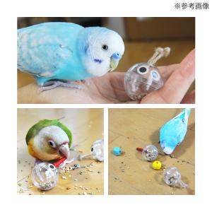 インコ用フォージングトイ コロコロボール 2個...の詳細画像3