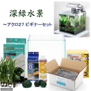 《終売》後日生体（熱帯魚）深緑水景　〜アクロ２７ビギナー水槽セット　カージナルテトラ　説明書付　本州四国限定　お一人様５点限り