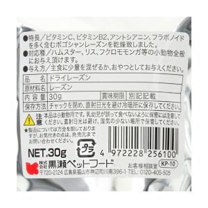 黒瀬ペットフード 自然派宣言 ドライレーズン ...の詳細画像1
