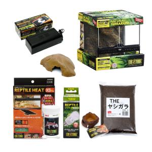 ＧＥＸ　エキゾテラ　グラステラリウム　３０３０　小型トカゲ飼育セット　お一人様２点限り　沖縄別途送料
