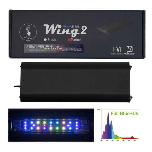 ボルクスジャパン　Ｇｒａｓｓｙ　Ｗｉｎｇ２　３０　Ｍａｒｉｎｅ／マリン