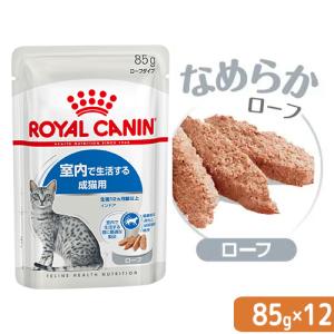 ロイヤルカナン　猫　ＦＨＮ−ＷＥＴ　室内で生活する成猫用　インドア　ローフ　８５ｇ×１ボール（１２袋）　室内猫　ウェット　お一人様５点限り｜chanet