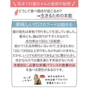 ロイヤルカナン 猫 室内で生活する中高齢猫用 ...の詳細画像2