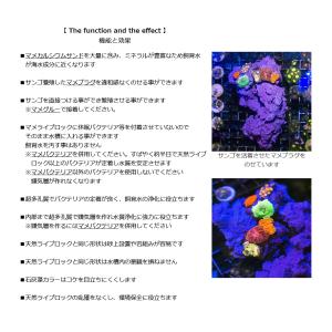 マメデザイン マメロック・マイクロ グレー ラ...の詳細画像3