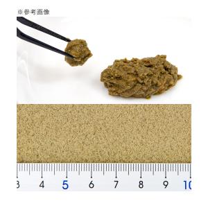 レパシー スーパーフード ベジバーガー 12o...の詳細画像2