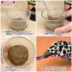 レパシー スーパーフード ベジバーガー 12o...の詳細画像3