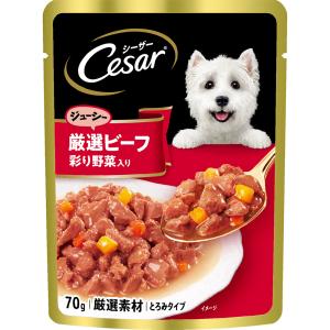 シーザー ジューシー厳選ビーフ 彩り野菜入り 7...の商品画像
