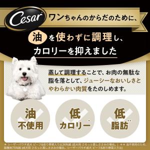 シーザー ジューシー厳選ビーフ 彩り野菜入り ...の詳細画像2