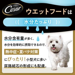 シーザー ジューシー厳選ビーフ 彩り野菜入り ...の詳細画像3